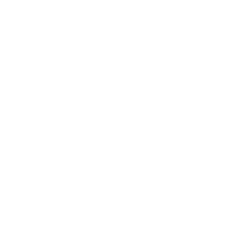 reformation 500 logo white